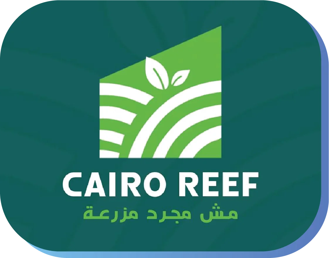 CAIRO REEF